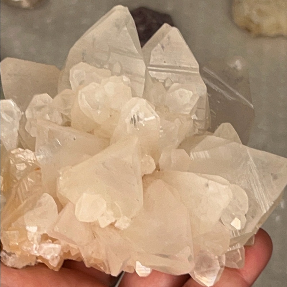 Large dog tooth calcite